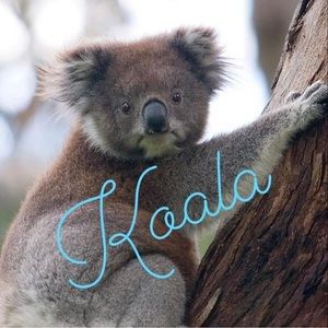 Meet your Posher, Dalene